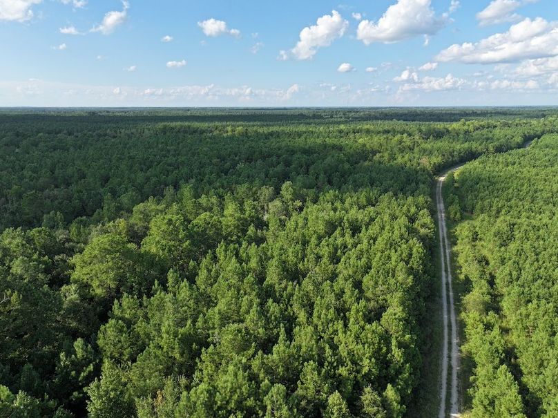 DJI_20240820173601_0030_D