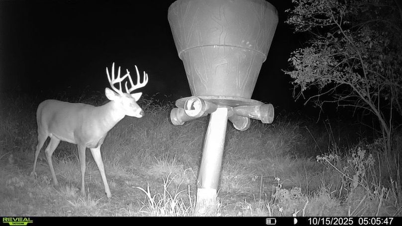 016579001744932-44-4-10152025050547-V-SYFW05948