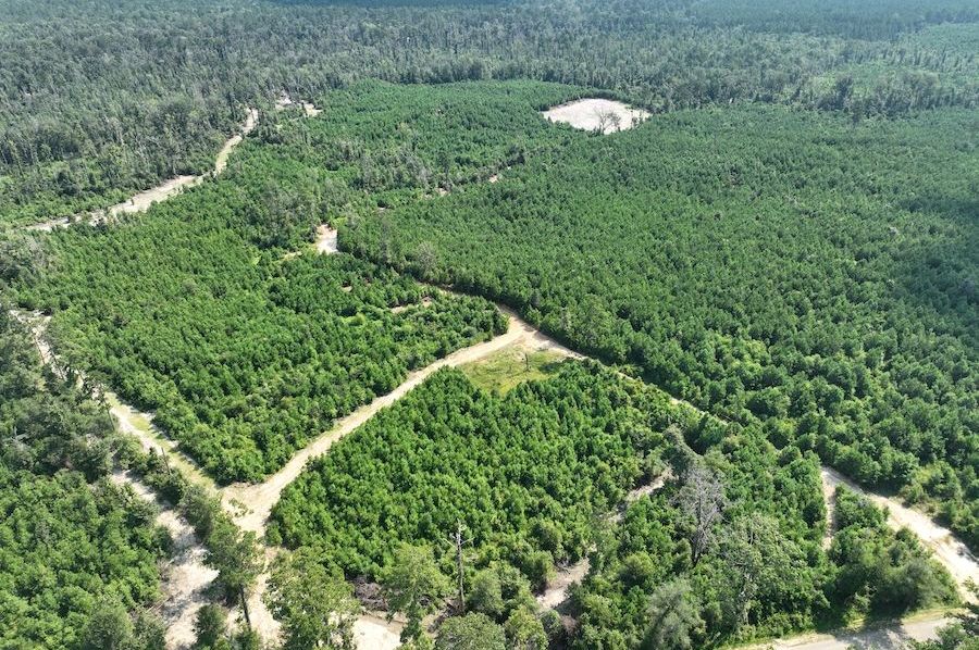 dji_fly_20240814_114414_751_1723676225229_photo