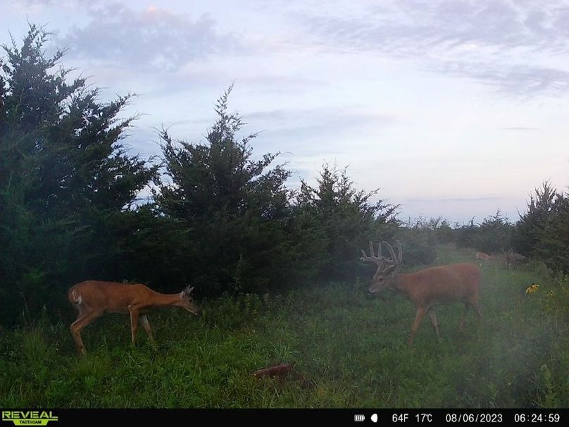 5C975B75-39F9-41B9-A180-1AF5CB8BCD42