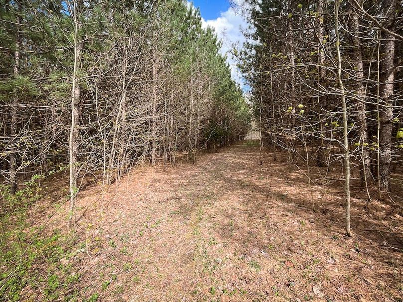 Tioga_76.65_Matyjas_Photos_12