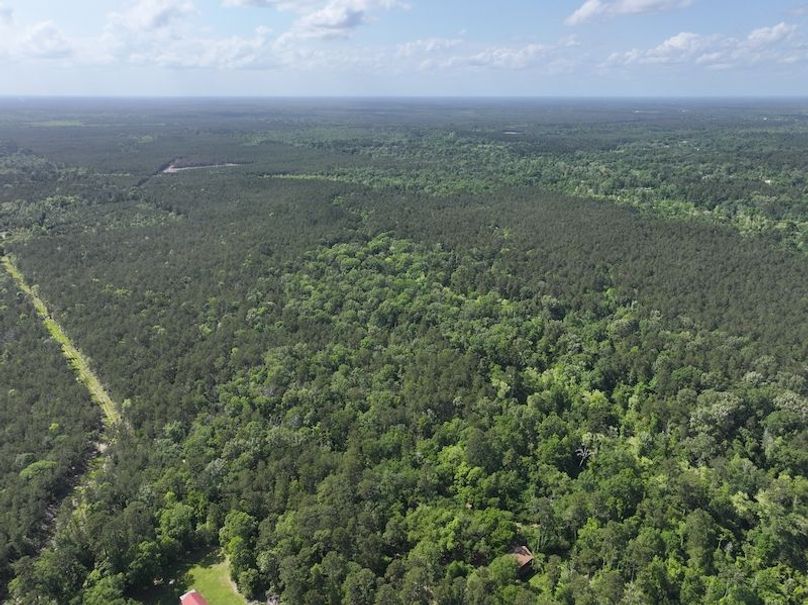 dji_fly_20260413_141116_0049_1776114931236_photo