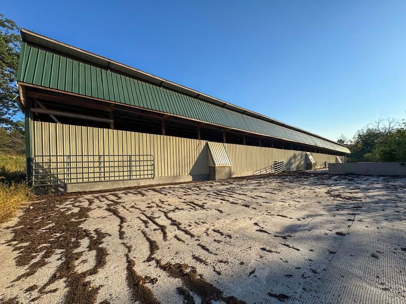 Monroe 5.31-14 Large