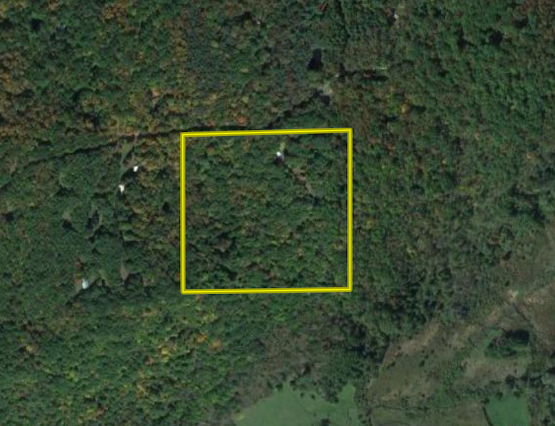 Screenshot 2024-08-27 at 11.13.34 AM