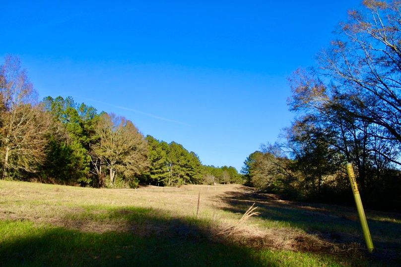 3FF5C289-23A9-4214-A7EF-86897EFF34A6_1_201_a-2