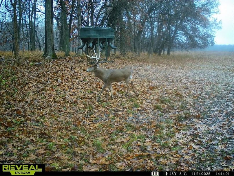 860322065946383-100-2-11252025032509-HD-SYEW1236