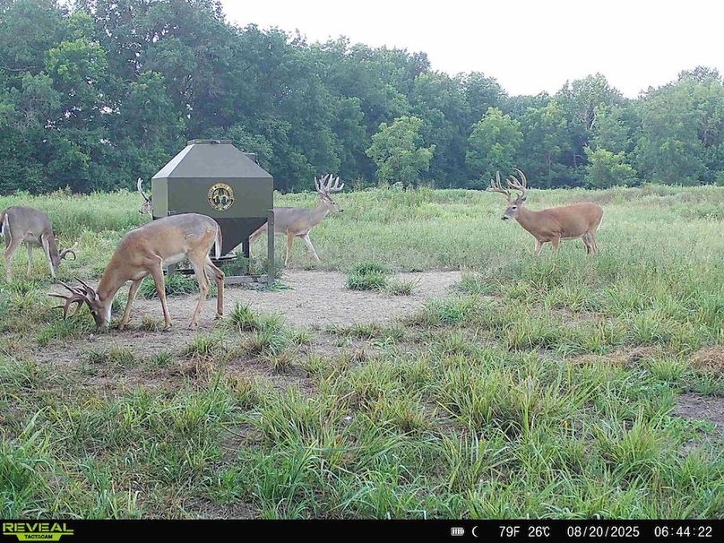 864049056505995-100-2-08202025070628-HD-SYFW1729