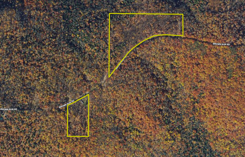 4 Screenshot 2024-02-20 at 12.45.30 PM