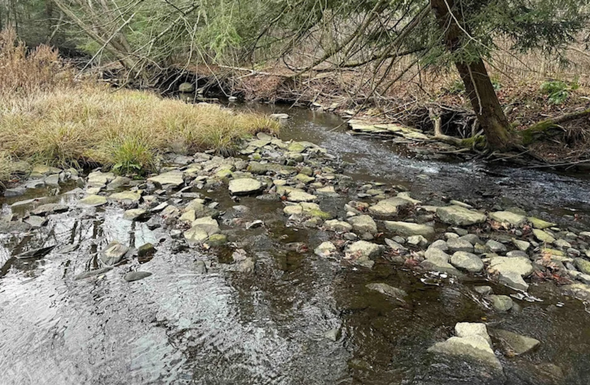 Screenshot 2025-01-20 at 11.42.32 AM