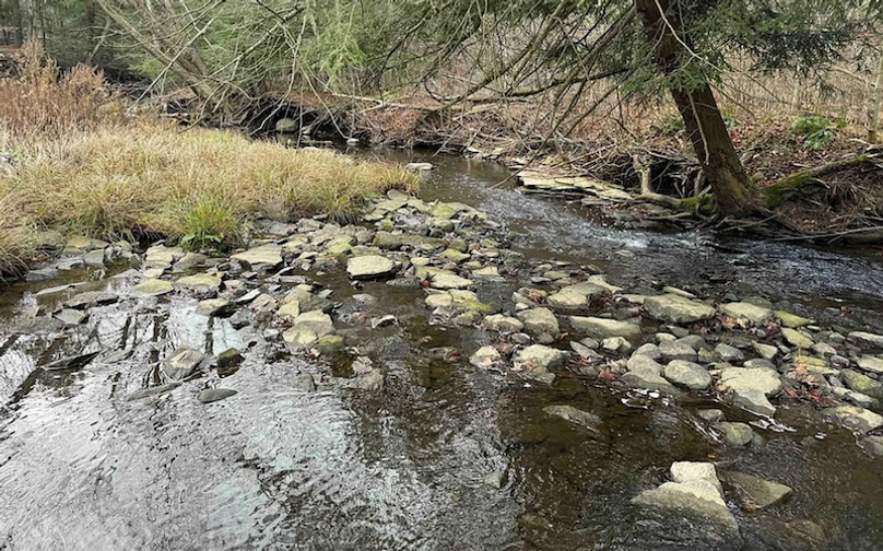 Screenshot 2025-01-20 at 11.42.32 AM