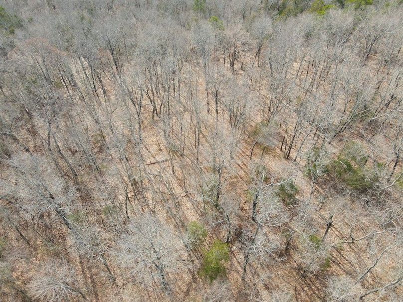 DJI_0638