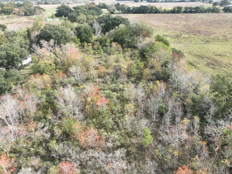 dji_fly_20231203_113630_538_1701631151933_photo