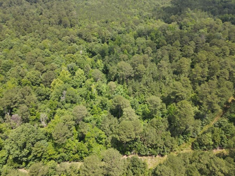 DJI_0264