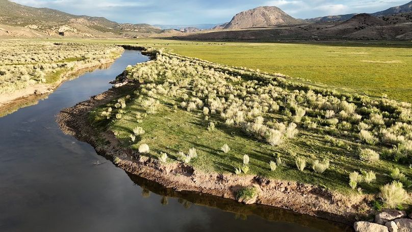 Lucky River Bottom Ranch11