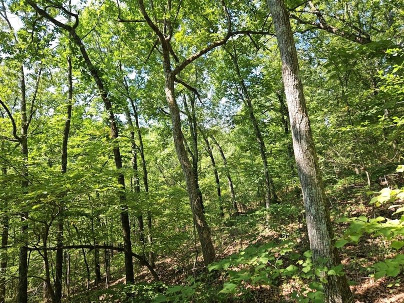 DJI_20240808_103903_143