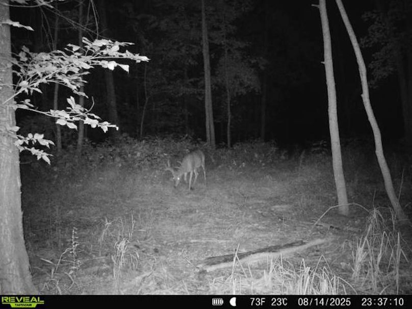 860516068101389-100-3-08142025233710-V-W1000361