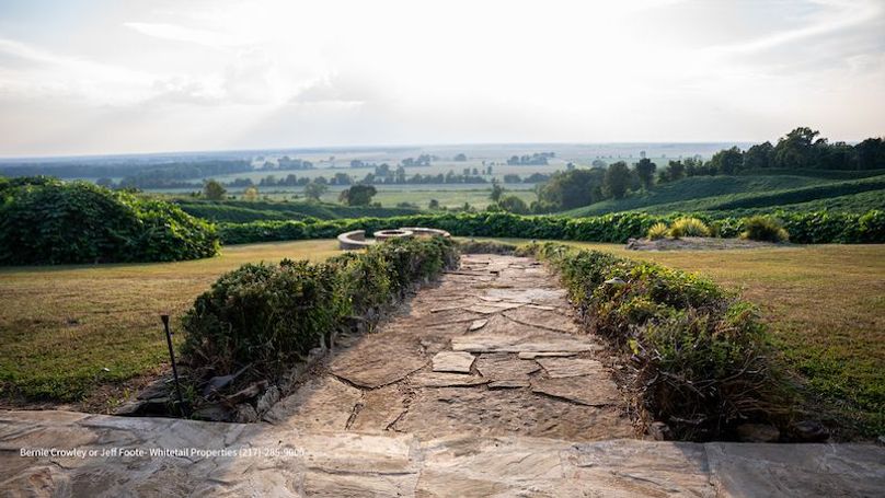 Tallahatchie 847 Messina-47