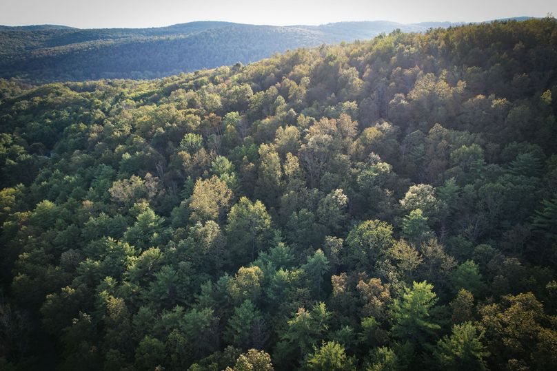 Tioga_20_Peters Photo 29