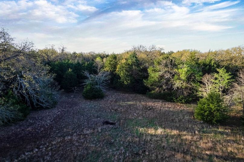 Hopkins County- 15.53 acres-6