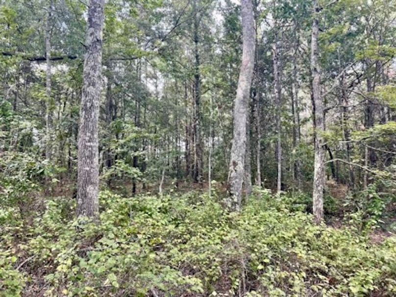 70999625-1BA8-44BE-A99A-0E16E54EB75E_4_5005_c