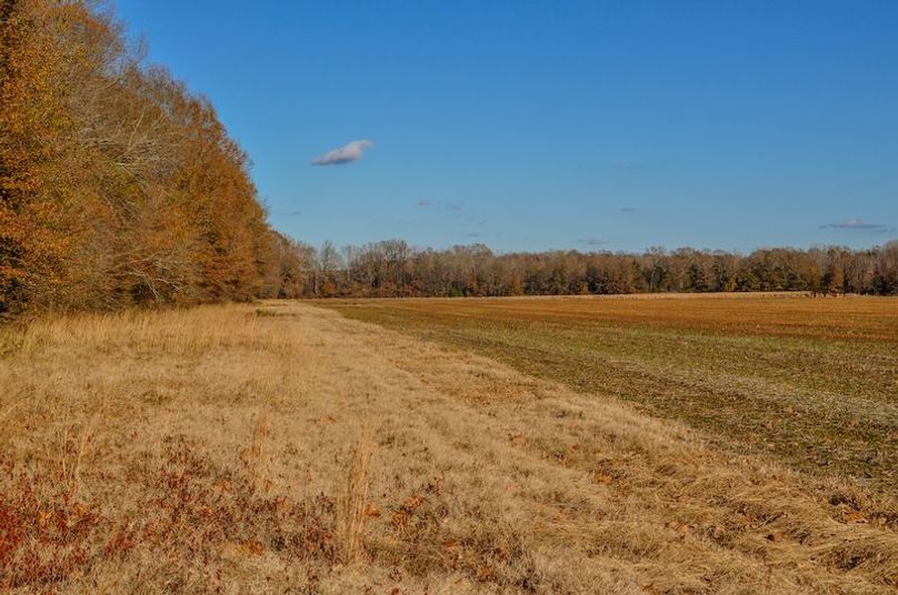 Lafayette 283.5 Jackson Initial Listing Photos -19