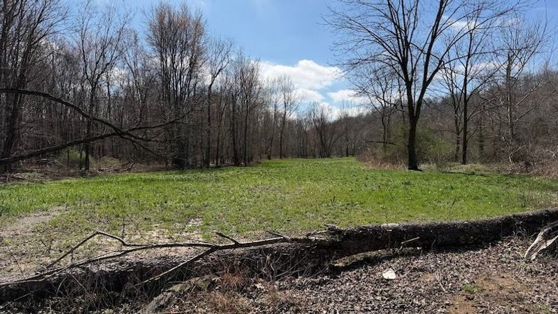 Butler 118 Capella20