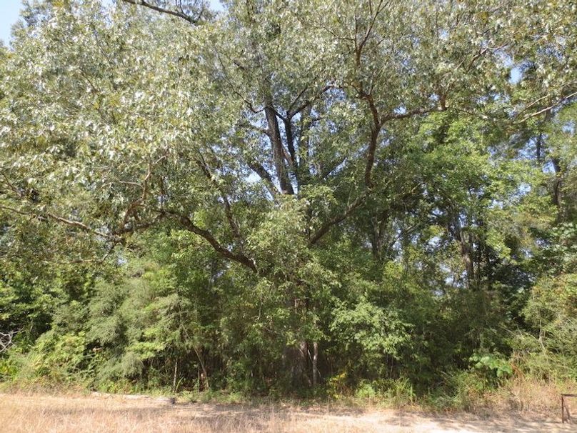 A210C567-F30F-469C-9BE3-9A96DEC83EAB_1_105_c