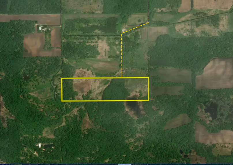 Screen Shot 2023-09-07 at 9.17.11 AM