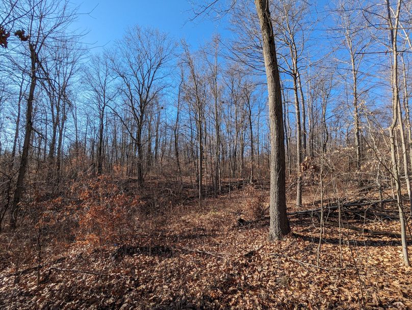 PXL_20231215_164754091