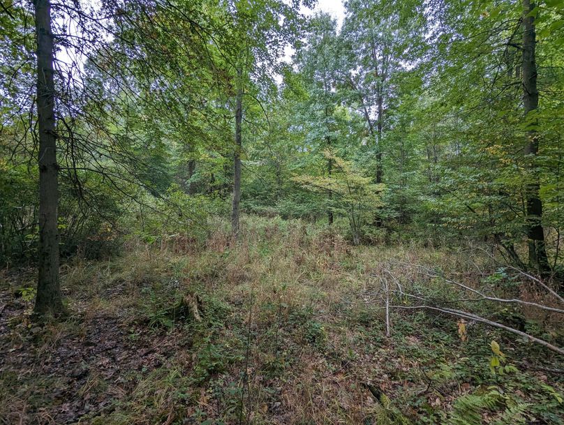 PXL_20230925_222615081