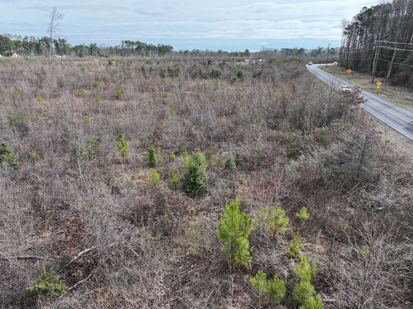 DJI_20240305095327_0030_D