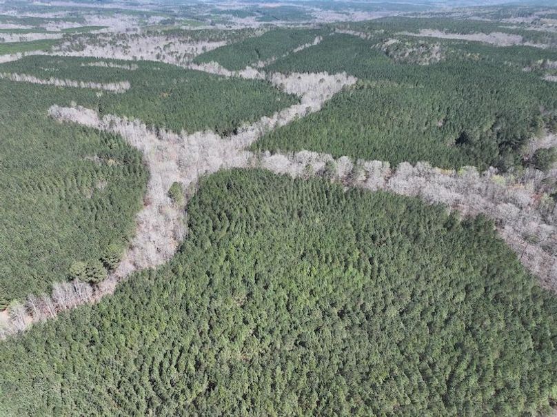 010AE - 257 Acres - Drone-20