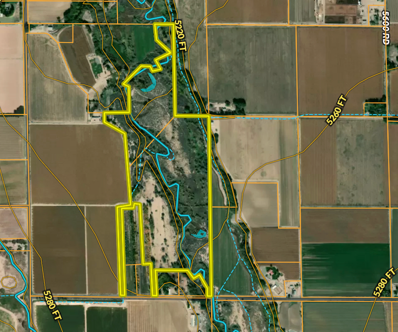 Screenshot 2026-03-11 at 12.06.53 PM