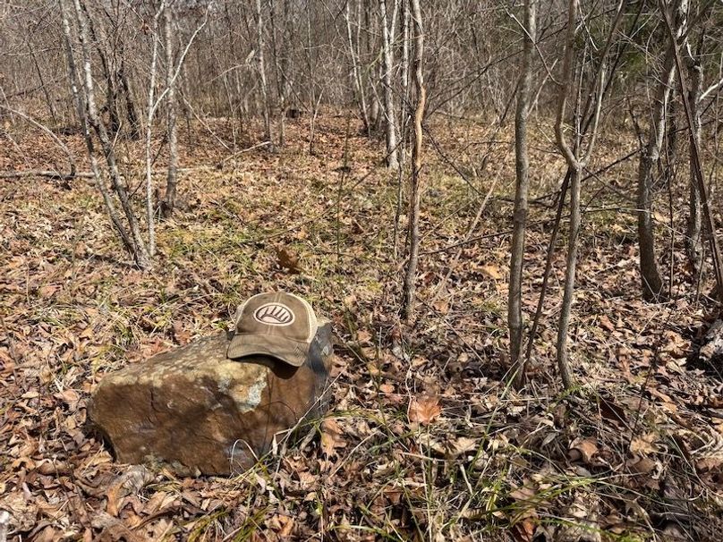 stone8020260306_0083