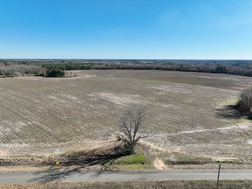 dji_fly_20260115_144642_145_1768506998160_photo