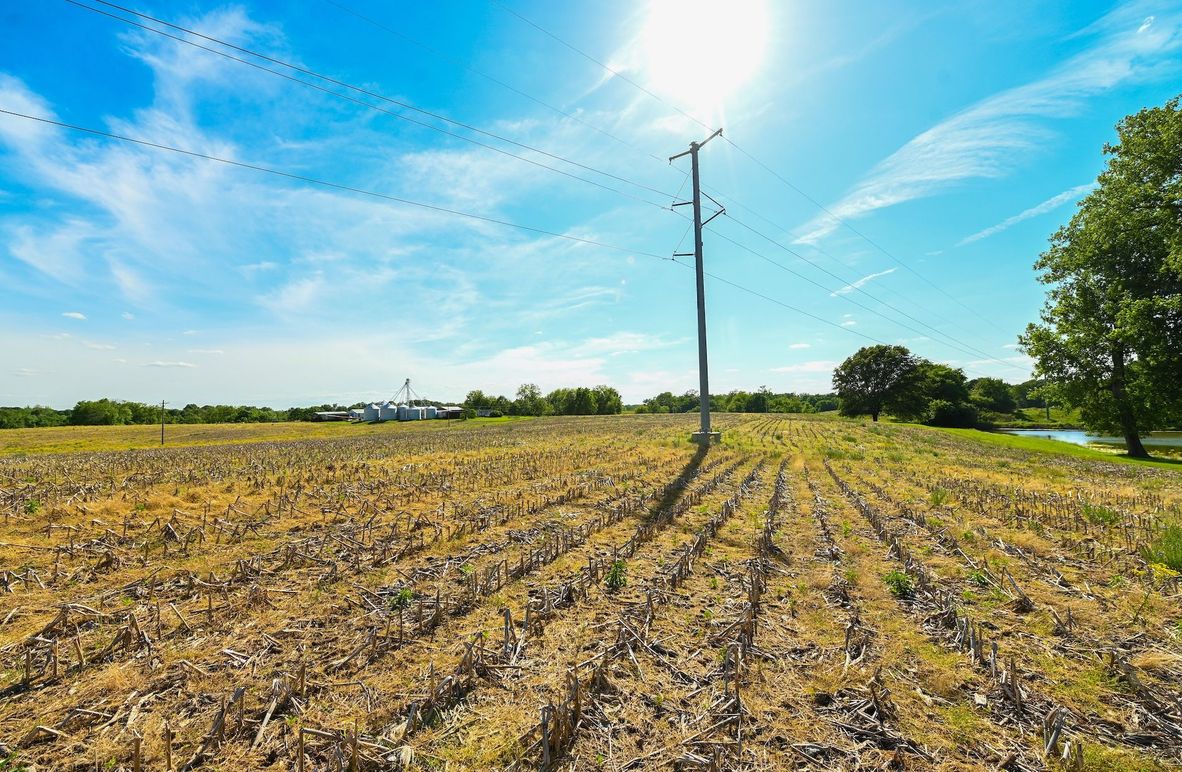 Copy of st clair 25 auction(2)