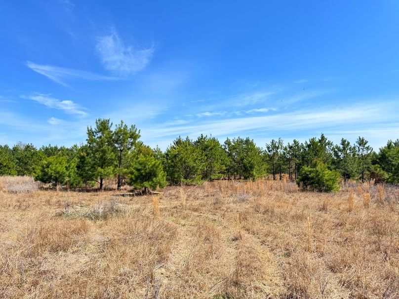 D79C736F-582D-424F-9D07-4C3ECC6E838B