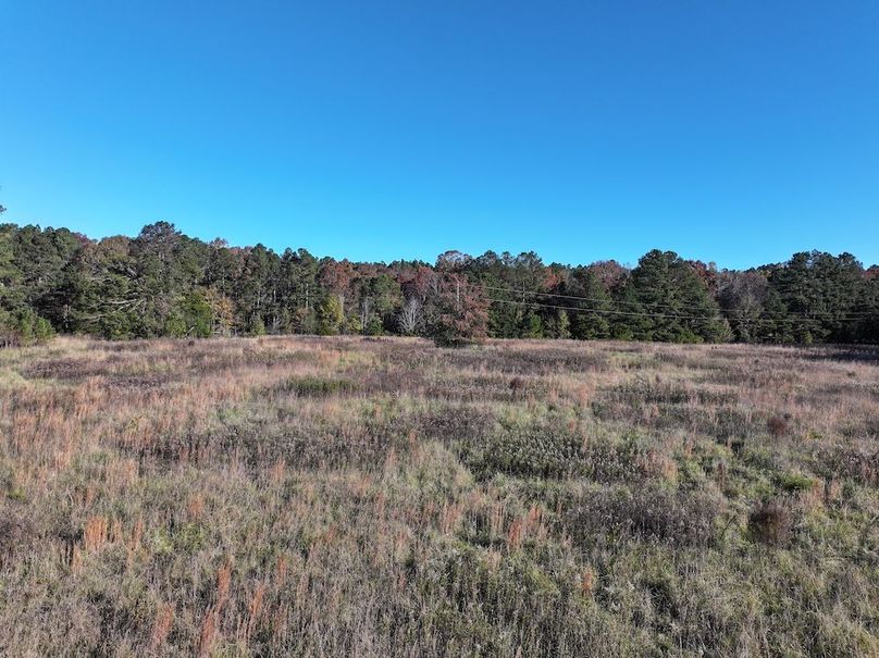 Copy of DJI_20241124091740_0246_D