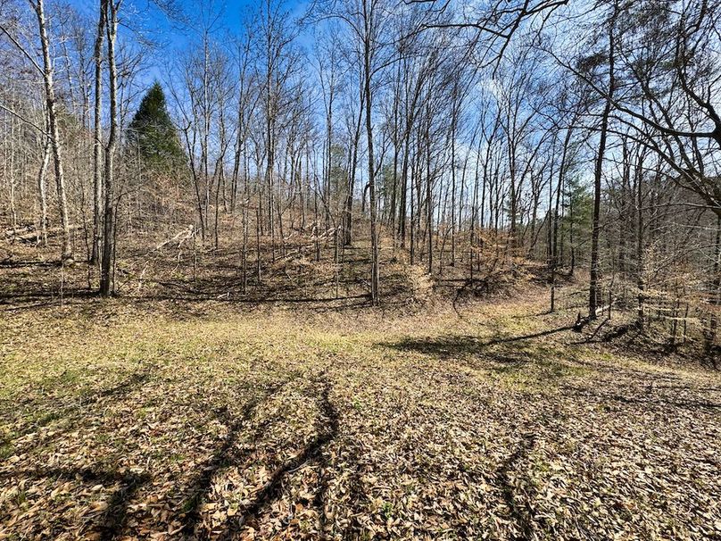 029 would make a great spot for a food plot!