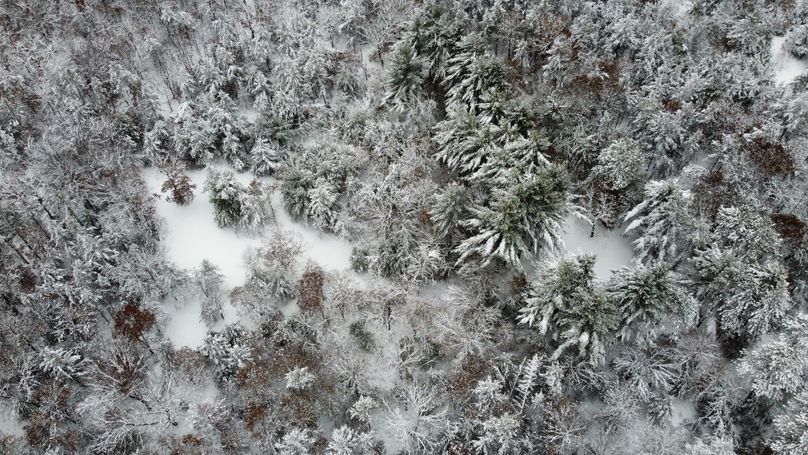 dji_fly_20240111_114114_860_1704995470687_photo_optimized 3