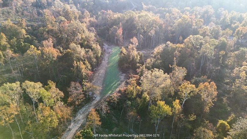 Claiborne Co-151-Geronimo-40