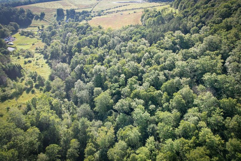 Tioga_82.5_Williams_Photos_35