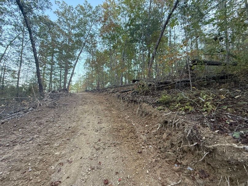 020 another shot of the recently opened trail system