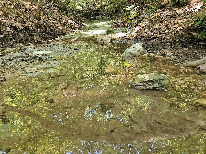 DJI_20240808_104821_158