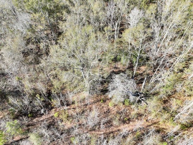 dji_fly_20251128_133232_28_1764354898057_photo