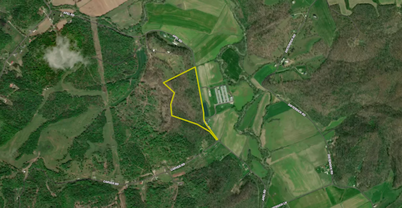 Screenshot 2024-03-15 at 9.15.29 AM