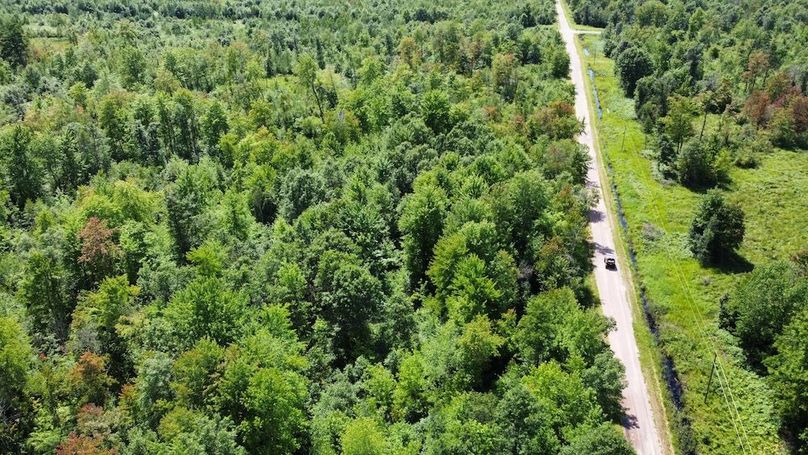 dji_fly_20240708_150322_263_1720541068195_photo_optimized