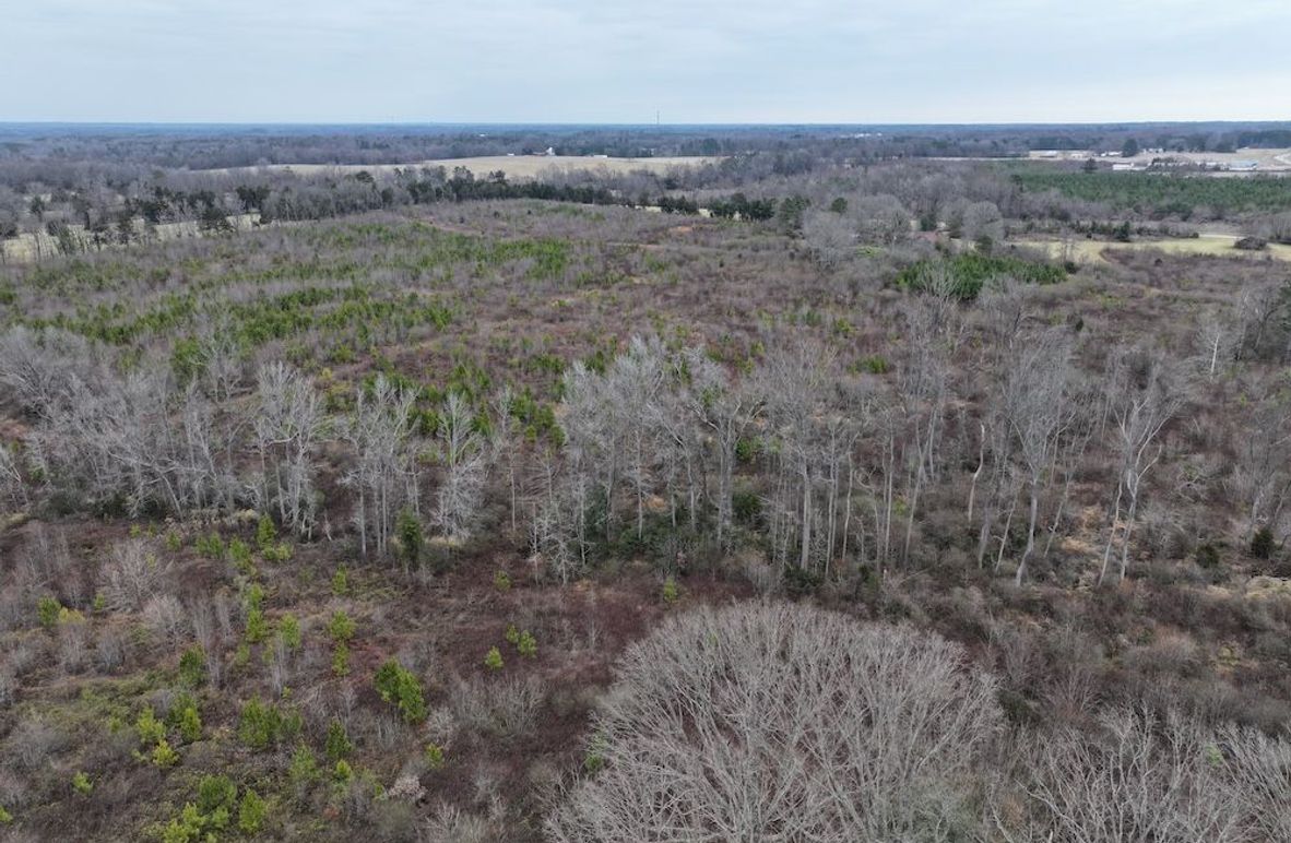 dji_fly_20251224_112602_0180_1767705808990_photo