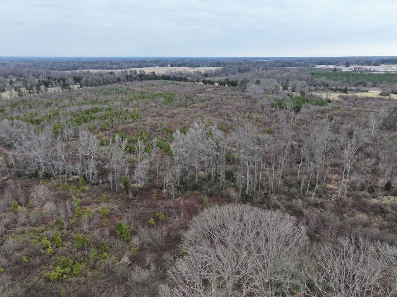 dji_fly_20251224_112602_0180_1767705808990_photo