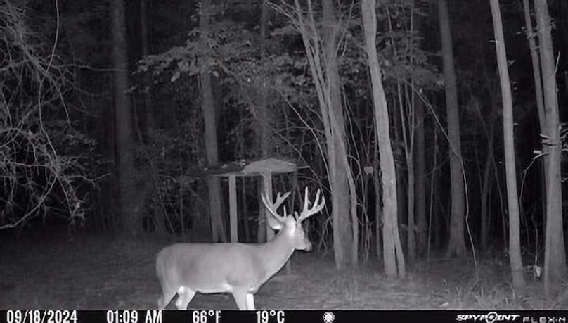 Tallahatchie 847 Trail Cam (JPG)-13